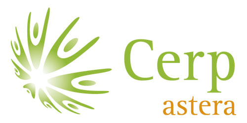 logo-part-ic-003